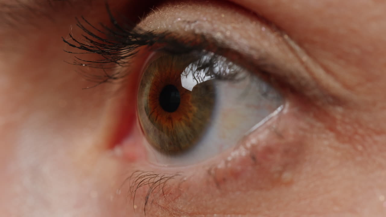 인간 눈의 클로즈업