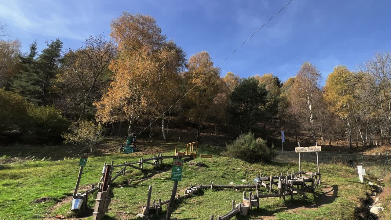 una niña valiente e imprudente se divierte en tirolesa en el parque de aventuras de cuerdas