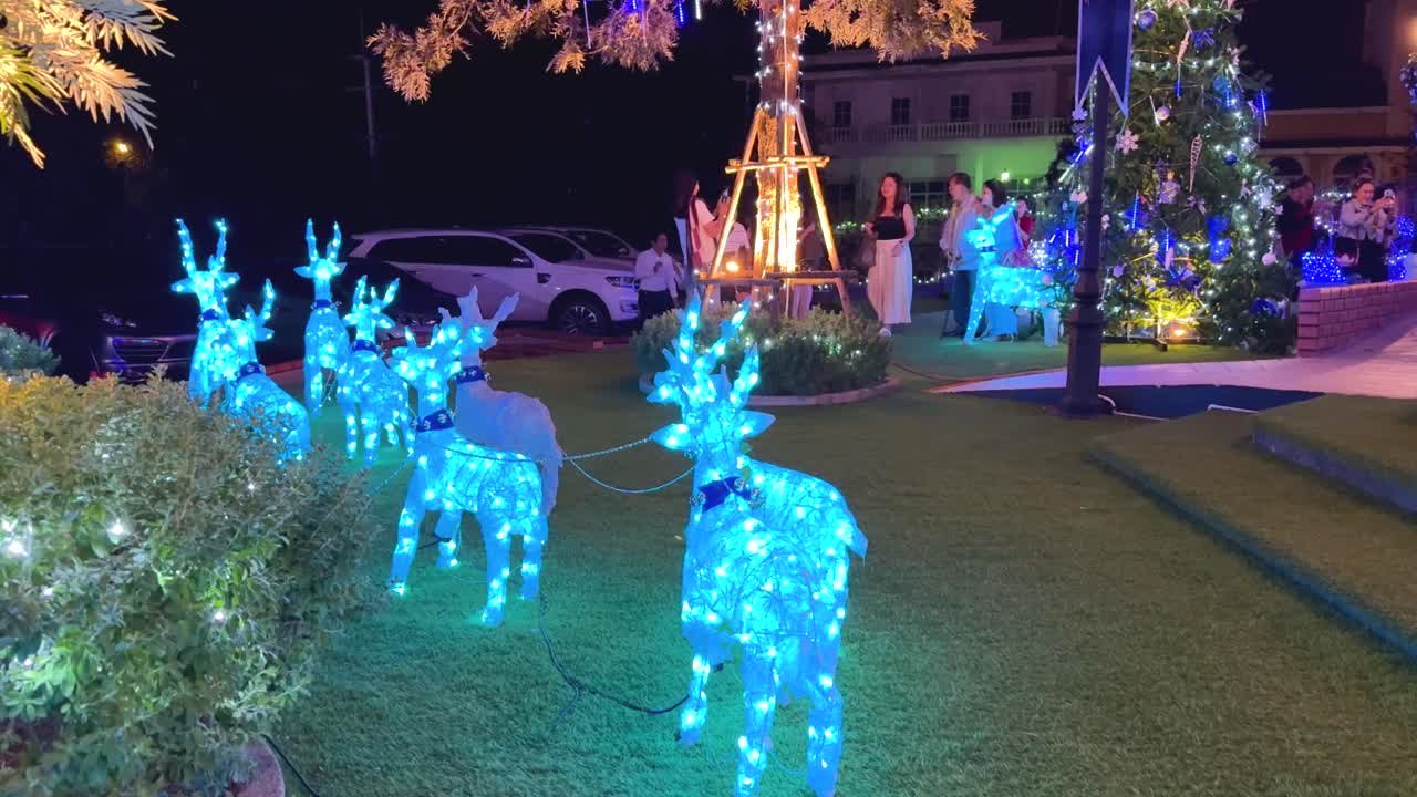 장식적 인 조명 들 이 축제 의 야외 장면 을 비추고 있다