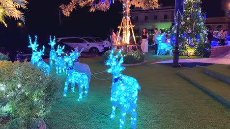 decorative lights illuminate a festive outdoor scene