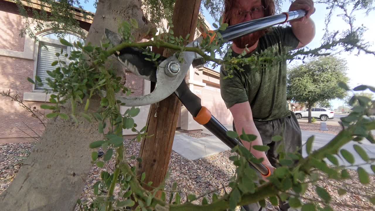 Red haired man cutting a thorny green tree in Arizona