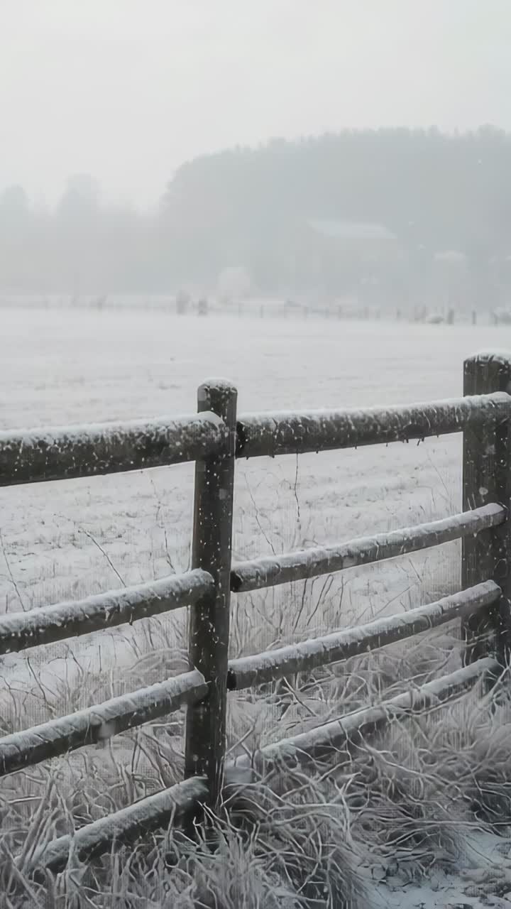Video verticale: neve che cade e ricopre una staccionata, spolverando l'erba brinata vicino a un fienile poco illuminato