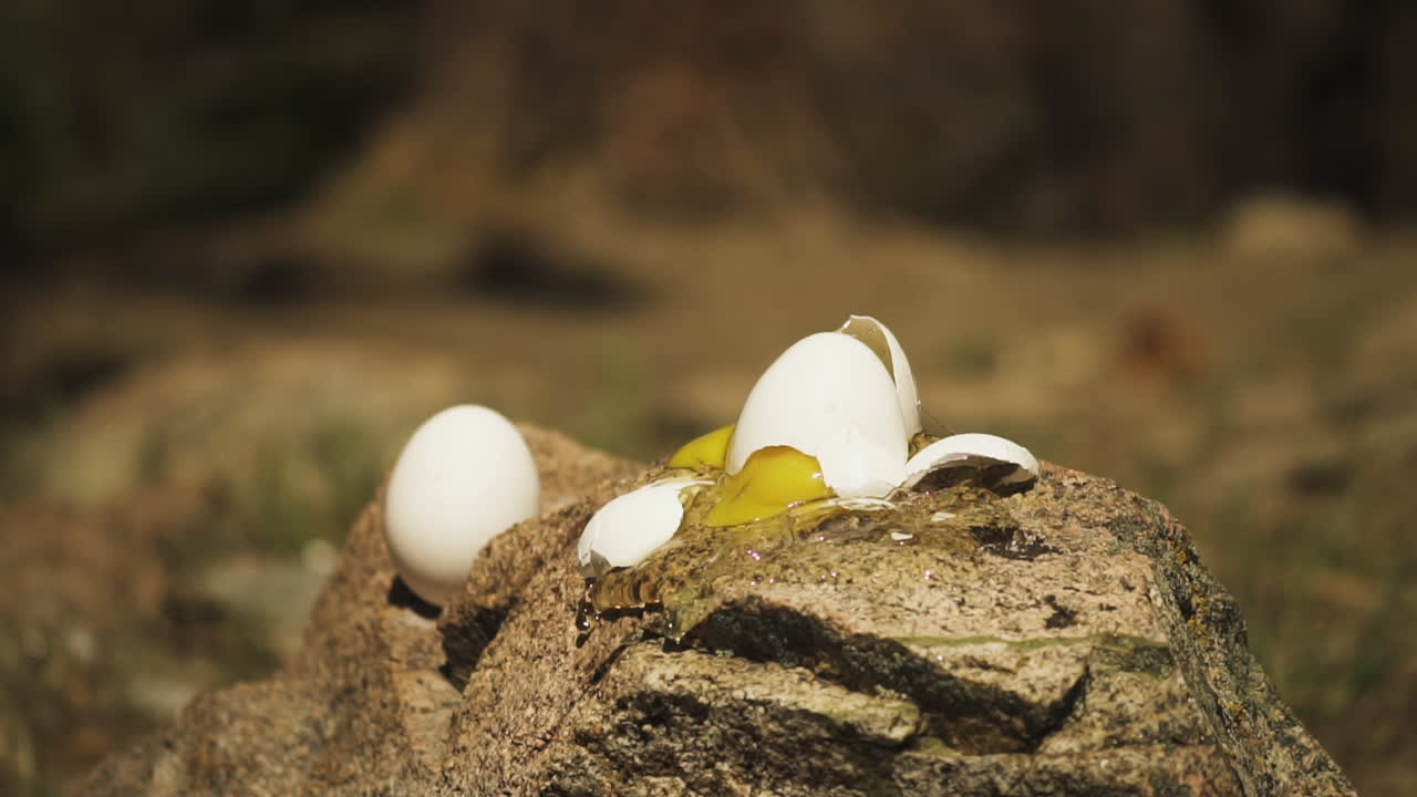 Close up view of an egg broken with great force by a bullet hitting it on the outskirts of Pleasant Valley,California,USA