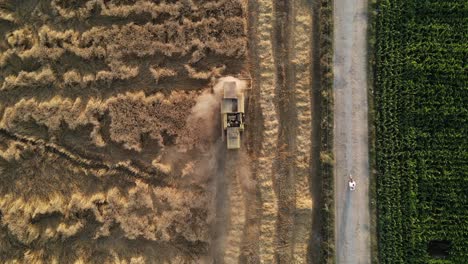 Wheat-Field,-A-harvester-harvesting-wheat-in-a-field-during-summer,-view-of-an-agricultural-field-in-Pakistan