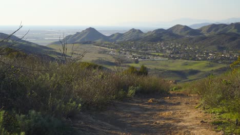 fauna del parque nacional boney mountain, california. enero 2019