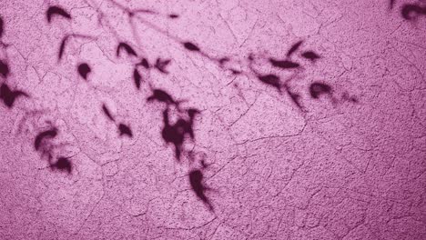 sombras de la naturaleza en la superficie de textura rosa vertical