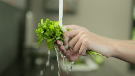 Las-Manos-De-Las-Mujeres-Lavan-Un-Manojo-De-Perejil-Verde-Con-Agua-Del-Grifo.-Vídeo-En-Cámara-Lenta