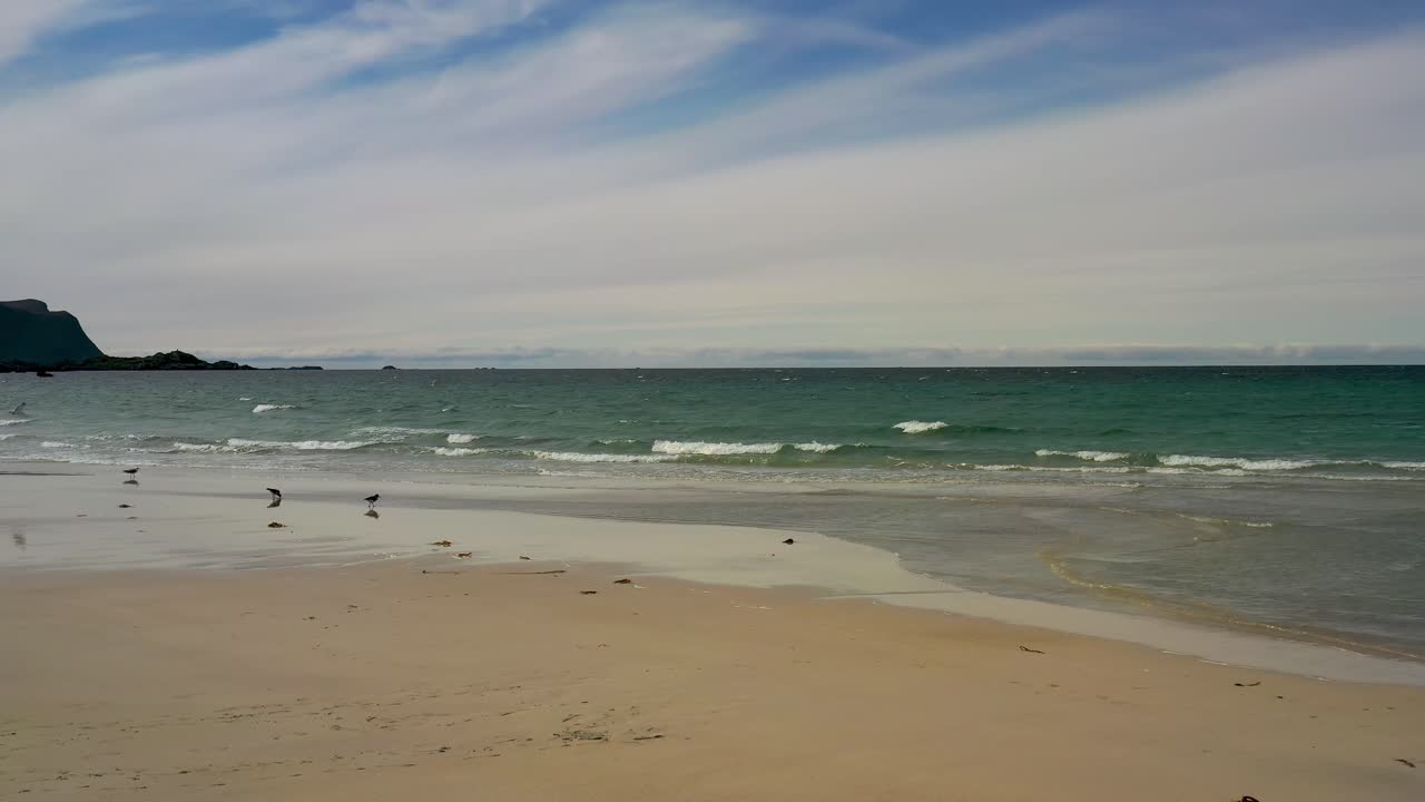 해변 로포텐 군도 섬 해변