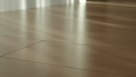 close-up of a light brown wooden floor