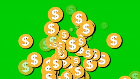 a lot of dollar coins money animation sign symbol motion graphics on green screen