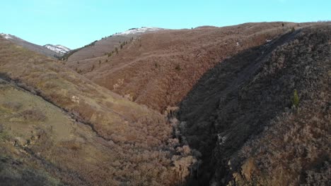 Imágenes-Aéreas-De-Montañas,-árboles-Muertos-Y-Arbustos-Cubren-Las-Montañas