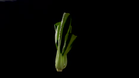 arte creativo de la comida