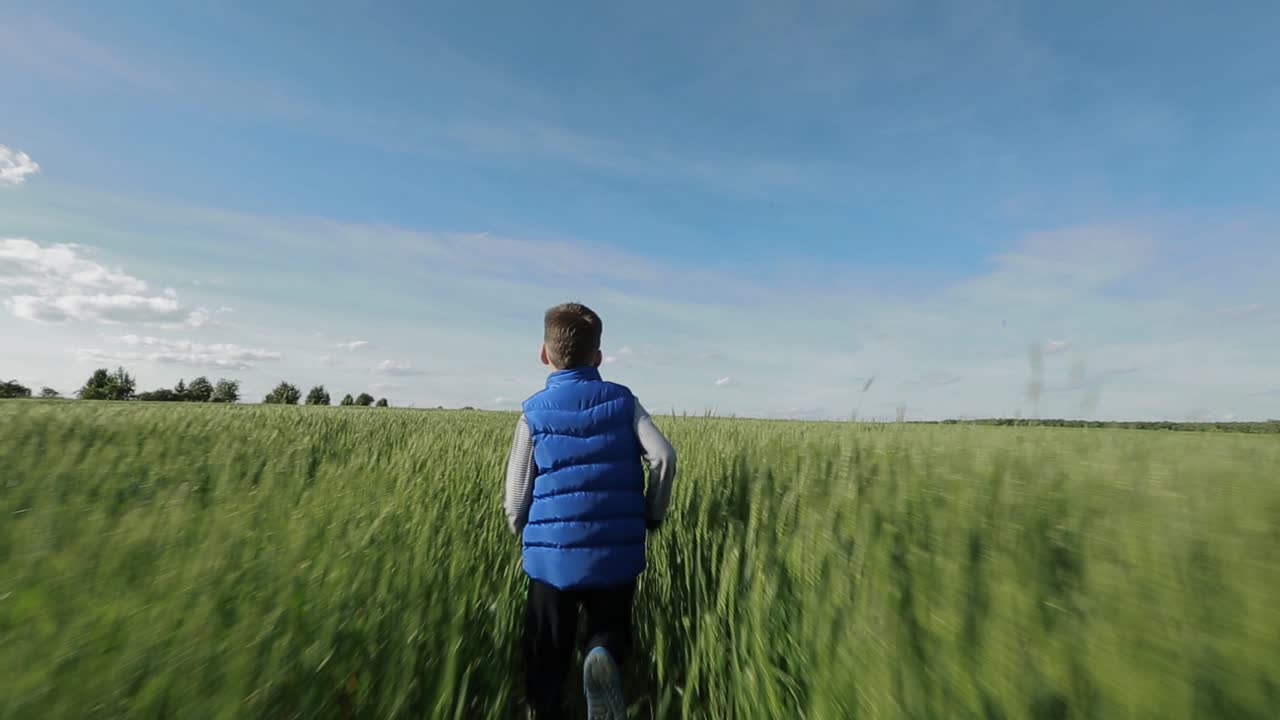 Boy Walking Through The Field. Little boy on a field in the sunlight enjoying nature