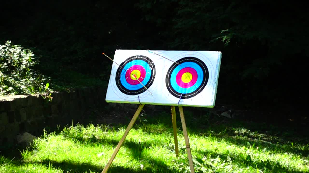 Archery. The arrow hit the target. Slow motion