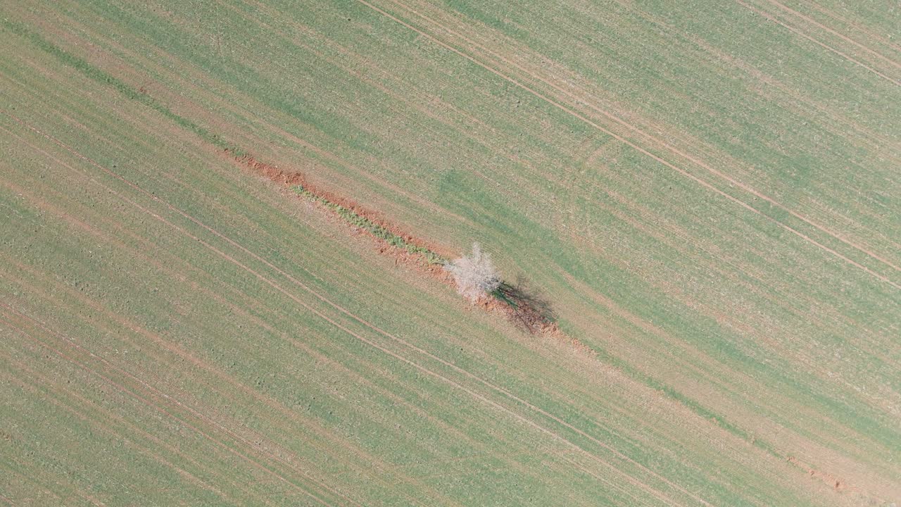 vistas aéreas con drones de un campo en el área de girona españa paisaje verde naturaleza agricultura orgánica giro en un árbol blanco