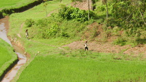 long wide shot of two young boys walking left to right balancing baskets on their heads