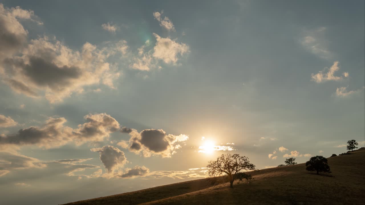 puesta de sol detrás de un árbol en el desierto