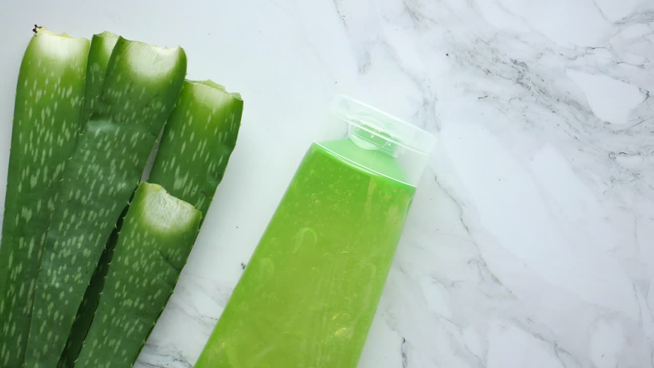 알로에 베라 젤과 잎