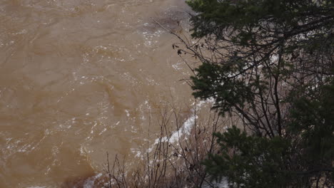 Schnell-Fließendes-Braunes-Flusswasser-Mit-Weißem-Schaum-Und-Bäumen