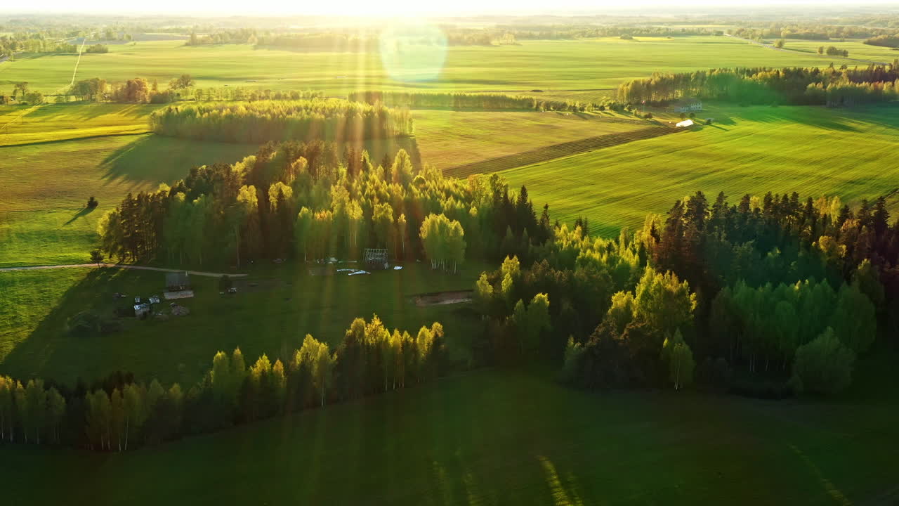 Golden sunrise light over cultivated farmlands and canola fields in aerial view