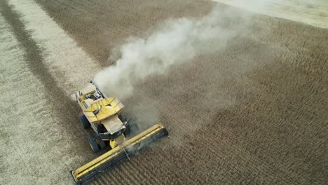 in wisconsin, a combine cuts and collects the soybean harvest