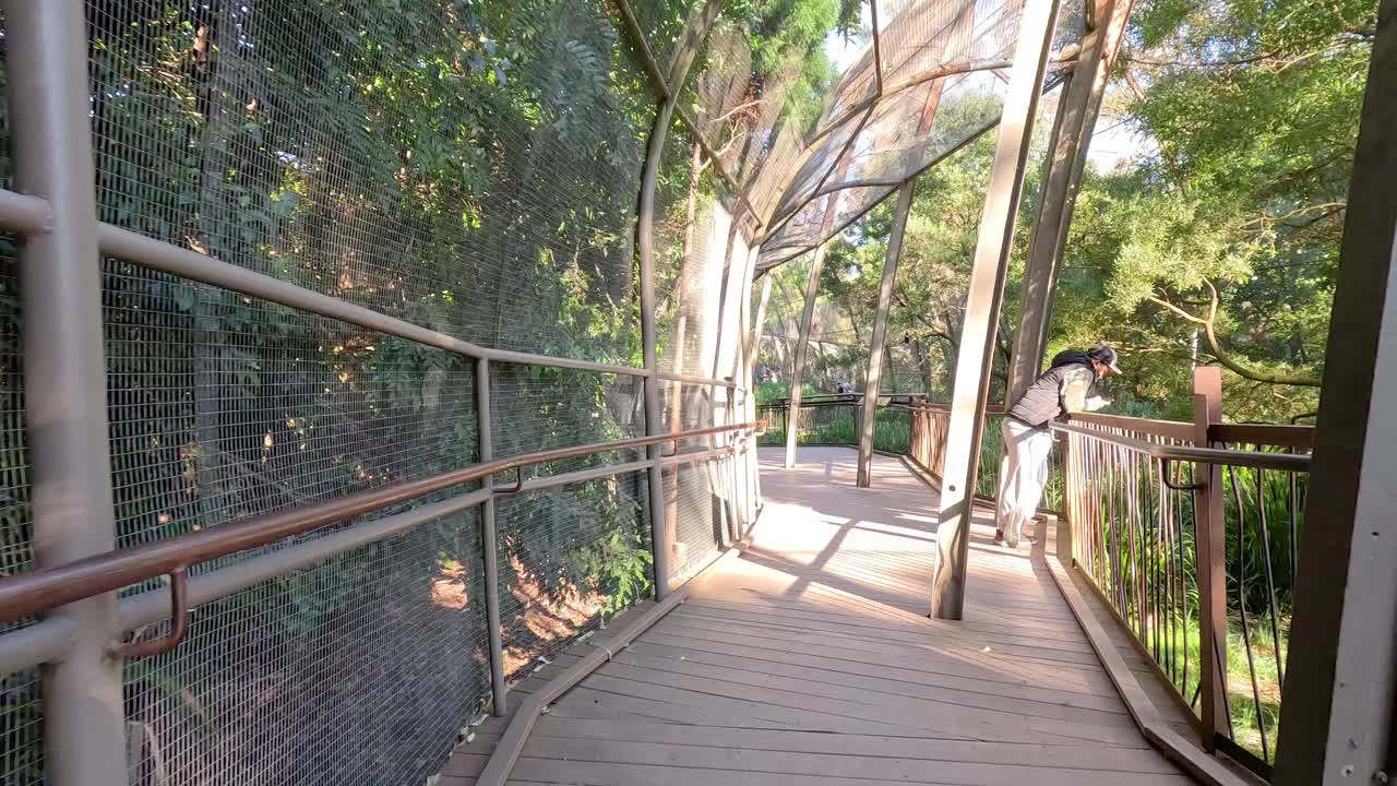 persona caminando a través de la exhibición de la jaula de pájaros en el zoológico