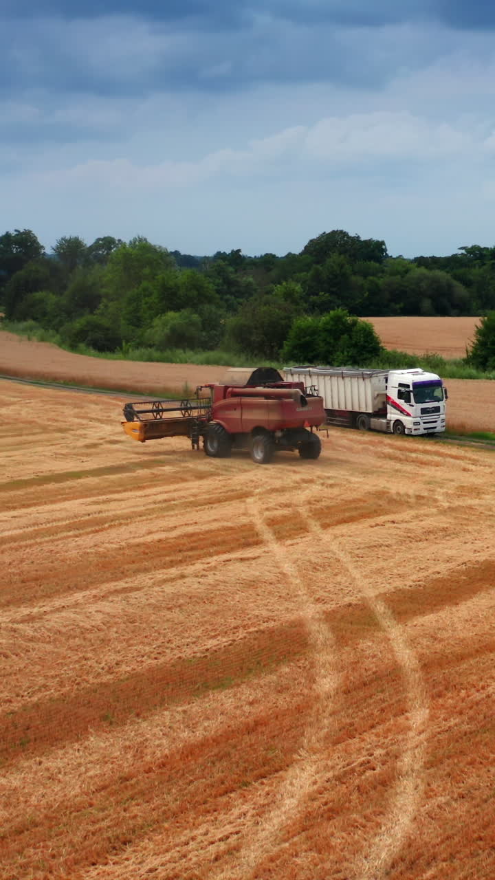 Massive harvester Case heading to the ripe field of wheat. Powerful machine is ready to get to work. Nature backdrop. Vertical video