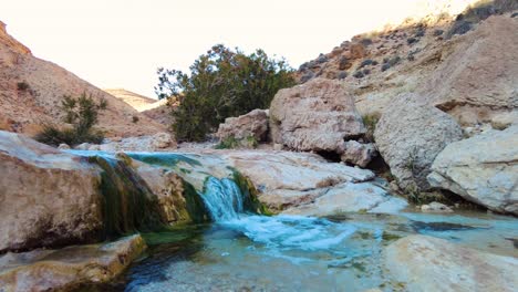 un río en el medio del desierto del sáhara argelia biskra