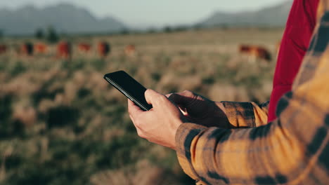 farmer, phone and cows on field for agriculture