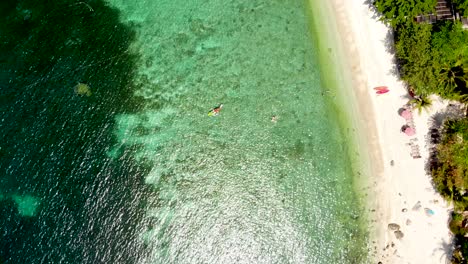 Toma-Aérea-De-Un-Dron-Sobre-Sai-Algunos-Turistas-En-La-Playa-Que-Reman-Sus-Kayaks-En-Las-Aguas-Cristalinas-De-La-Playa-De-Sai-Daeng-En-La-Isla-De-Koh-Tao-En-La-Provincia-De-Surat-Thani-En-Tailandia.