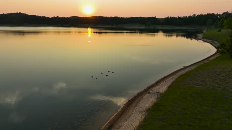 Acercándose-A-Algunos-Patos-Locales-En-Las-Aguas-Tranquilas