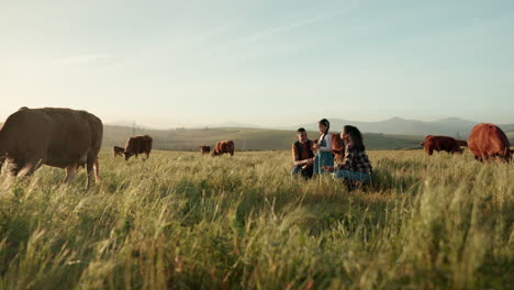 granja, ganado y familia en un campo en la naturaleza