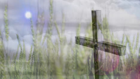 standing in field, wooden cross with animation under cloudy sky