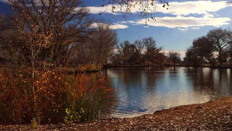 Sunrise-in-Nevada-wetlands-from-low-angle-view