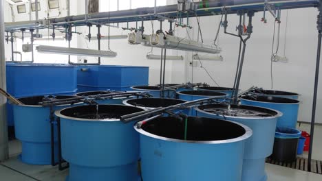 view of agricultural production ponds inside a fish farm