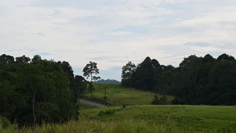 Ein-Filmmaterial-Dieser-Wunderschönen-Landschaft-Im-Nationalpark-Khao-Yai-Mit-Autos,-Die-Sich-Auf-Der-Straße-Auf-Und-Ab-Bewegen,-Thailand