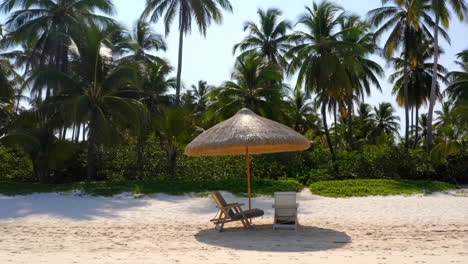 tropical beach with palm trees and umbrella