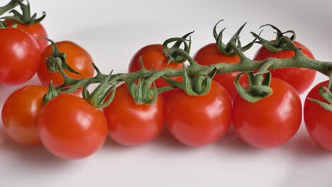movimiento a lo largo de los tomates rojos frescos cultivados en la rama