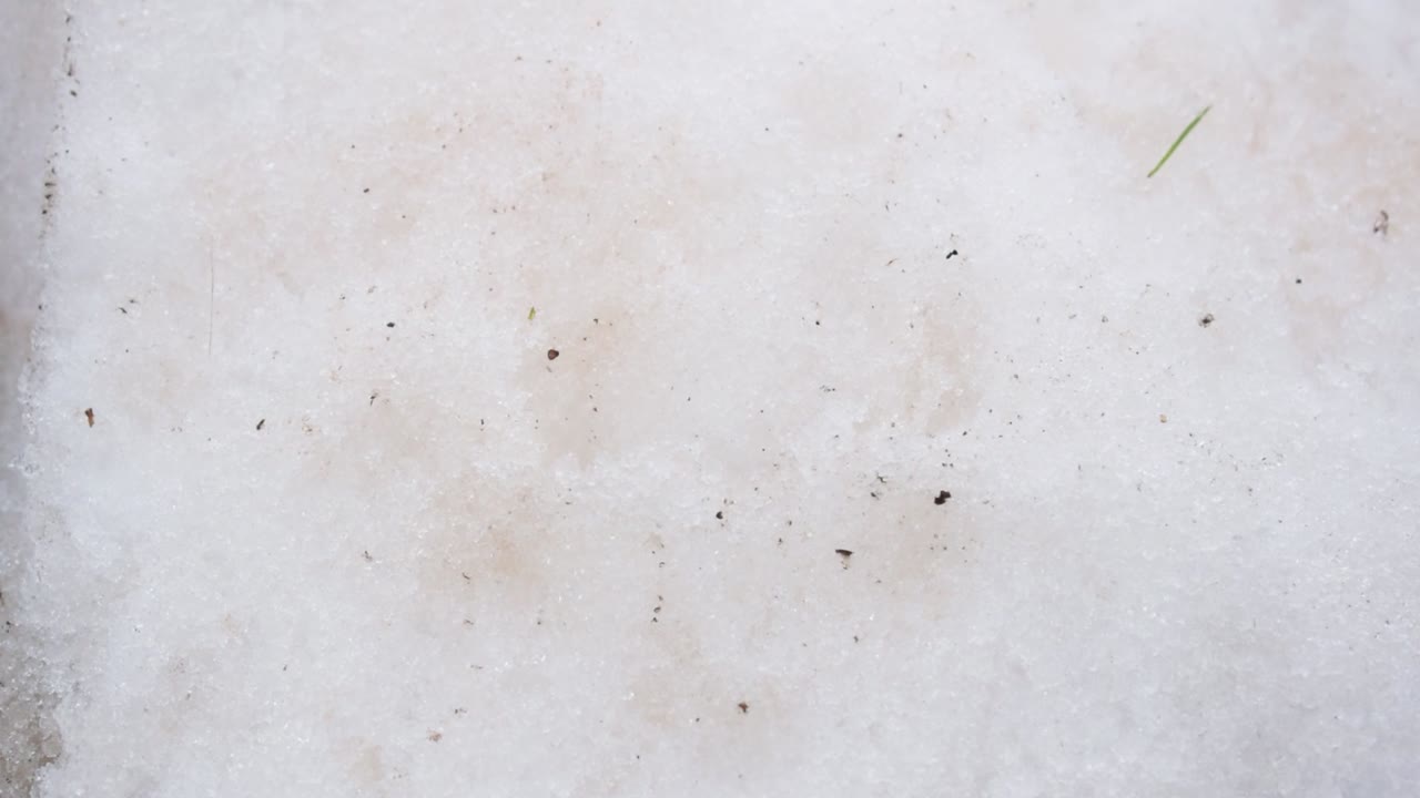 Mano de hombre tomando Bitcoin físico dorado de la nieve.