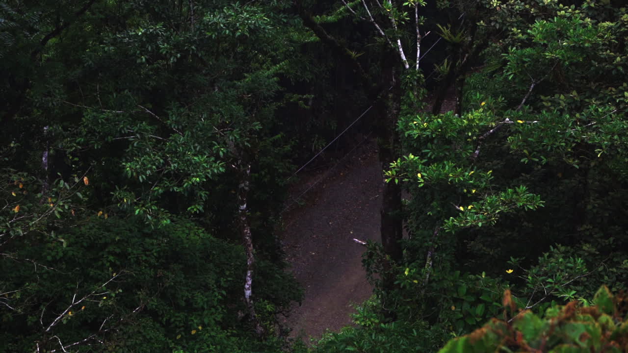 중앙 아메리카의 몬테베르데 자연 보호 구역을 탐험하는 코스타리카 광야 여행 모험, 광야의 정글 열대우림 관광 명소 여행 목적지