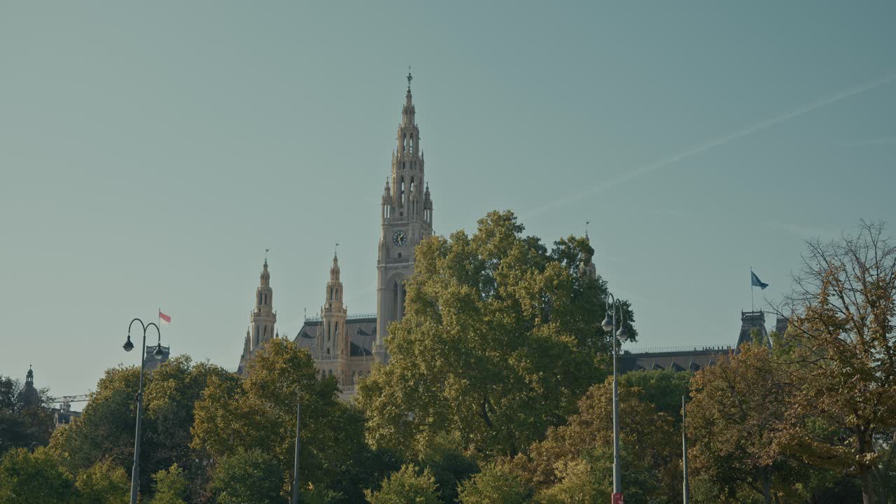 비엔나 시청 탑은 은 하늘 아래 라트하우스 플라츠의 푸른 나무 위에 아 있습니다.