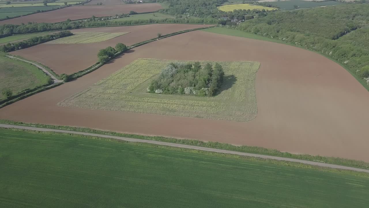cultivo curioso en dos campos vista de ángulo alto