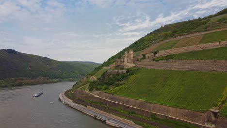 Burg-Ehrenfels-castle-ruins-and-hillside-vineyards-on-Rhine-river,-Aerial-dolly-in