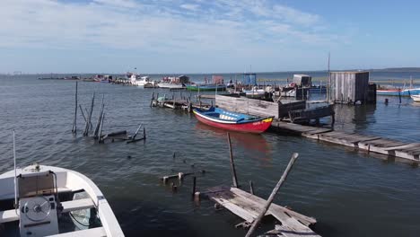 Disparo-Con-Dron-Carrasqueira-En-Portugal