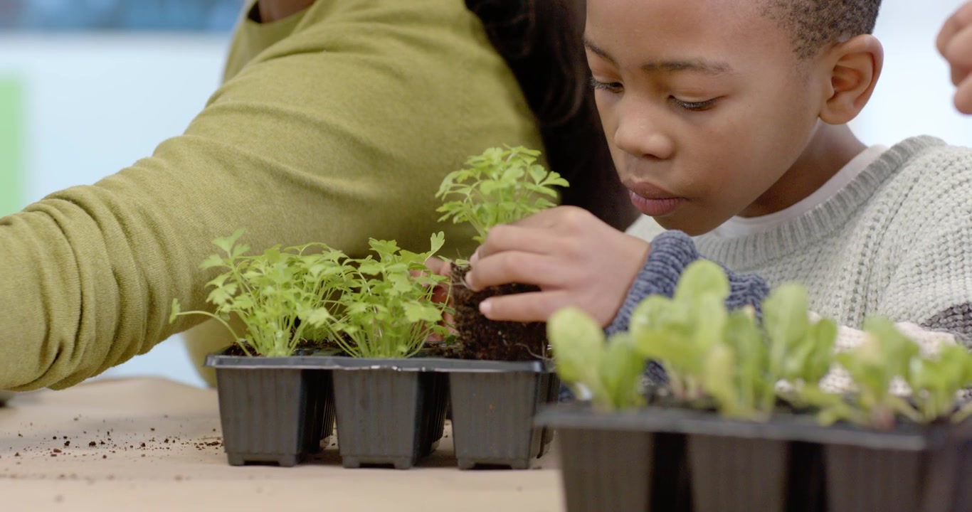 African American woman with children wearing green showing seedling care at school, boy planting it