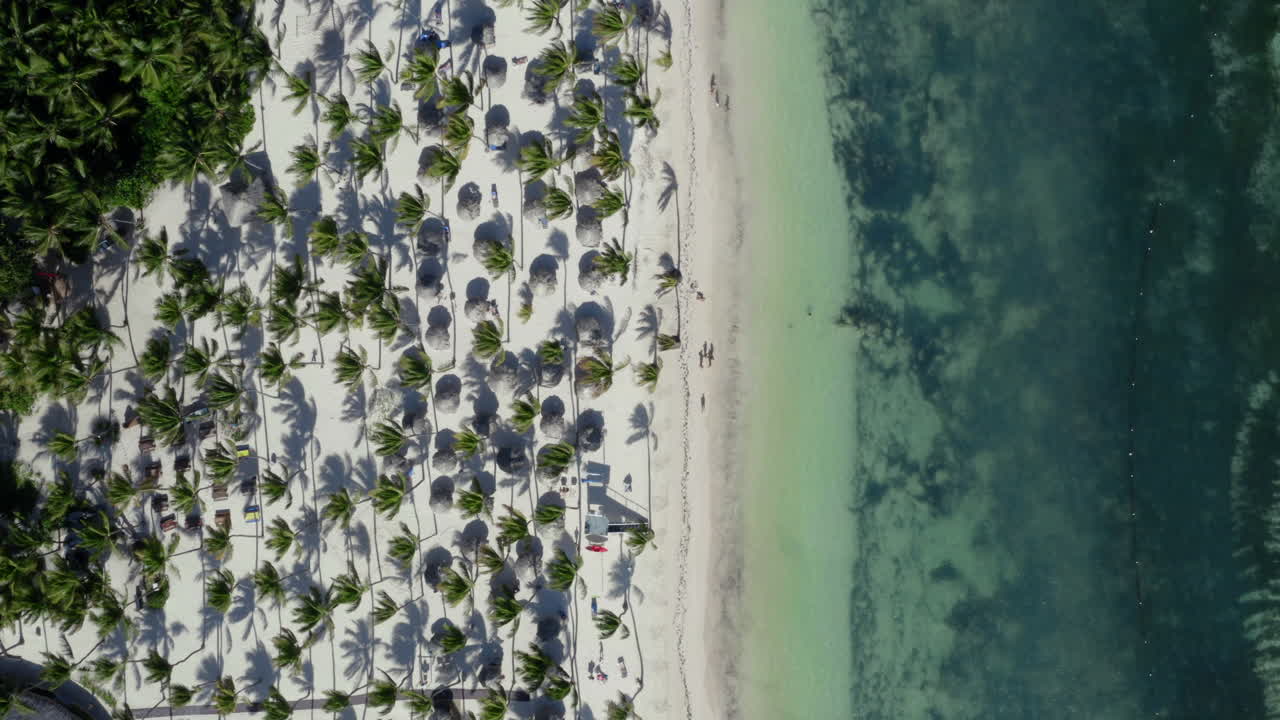 cataluña tropical bavaro palm beach en república dominicana, sobrecarga