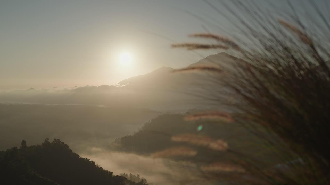 Sunrise over misty mountain landscape with blurred foreground foliage