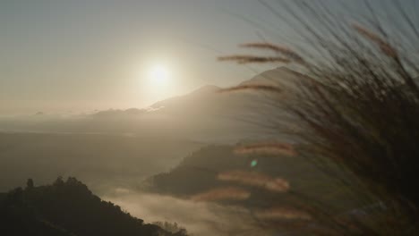 sunrise over misty mountain landscape with blurred foreground foliage