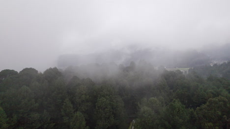 멕시코의 레 드 브라보 (valle de bravo) 에서 비가 내리는 어두운 날에 높은 나무 위의 구름과 안개를 날아다니는 비행