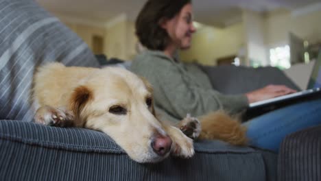 Smiling-caucasian-woman-using-laptop-working-from-home-with-her-pet-dog-on-sofa-next-to-her